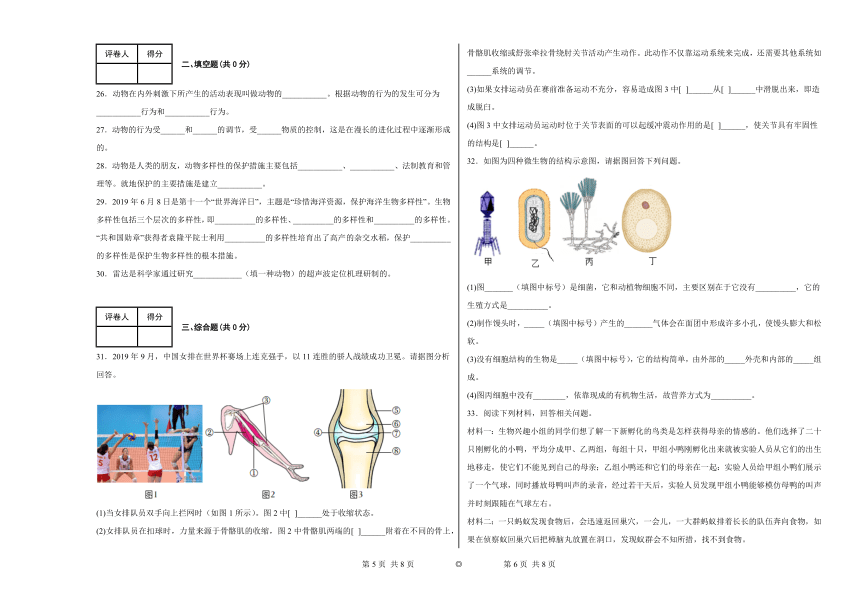 贵州省铜仁市第十一中学2022年秋季学期  八年级上册期中 北师大版生物期中测试题（PDF版含答案）