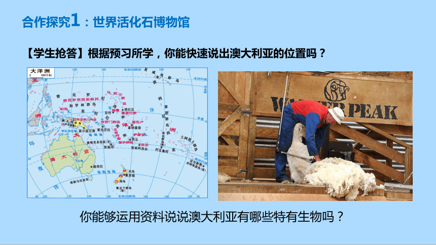 人教版地理七年级下册8.4澳大利亚课件(共31张PPT)