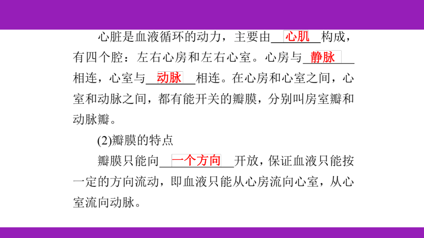 2023浙江中考一轮复习 第7课时 人体的物质和能量转换（二）（课件 60张ppt）