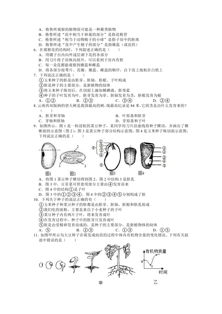 2022-2023学年浙教版科学七年级下册1.4植物的一生 同步练习（含解析）