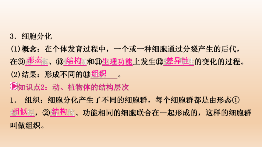 2023年人教版七年级生物上册复习专题★★第二章　细胞怎样构成生物体(共44张PPT)