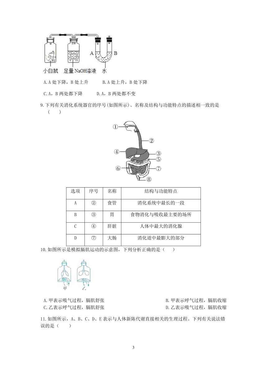 【备考2023】浙教版科学“冲刺重高”压轴训练（二十七）：动物的新陈代谢（含解析）