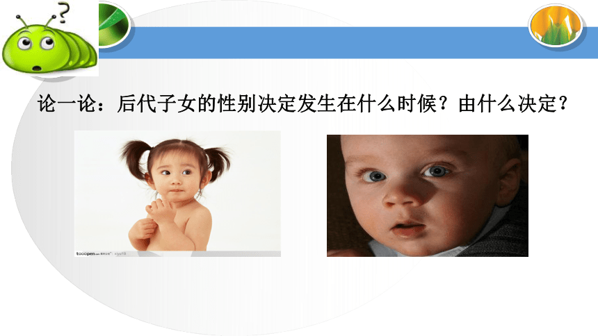 第三节 人类的遗传 课件（30张PPT）