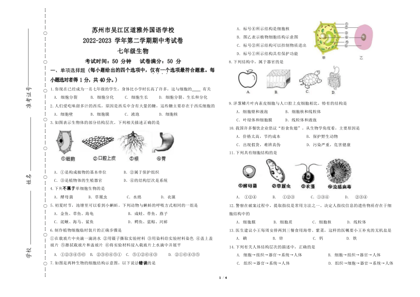 江苏省苏州市吴江区道尔顿学校2022-2023学年七年级下学期期中生物试题（Word版无答案）