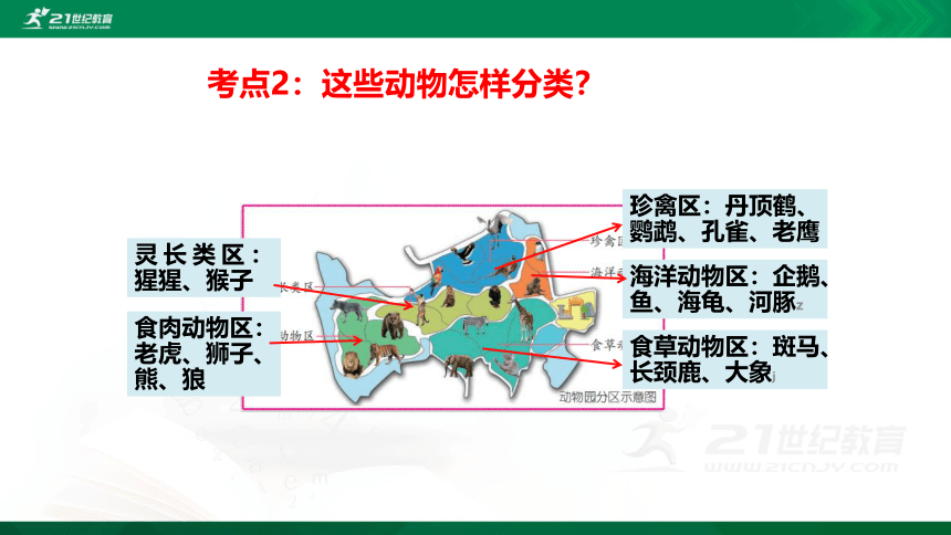 1 给动物分类 复习课件（18张PPT）