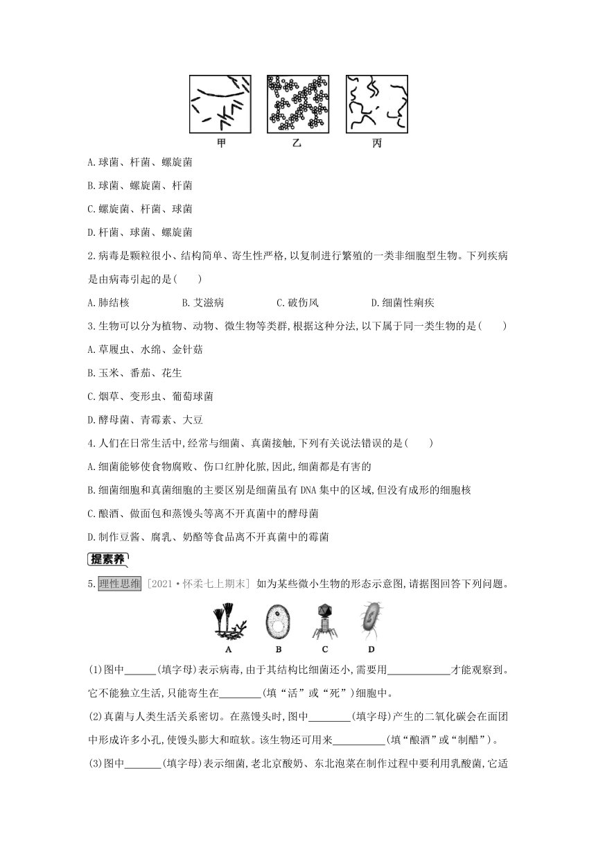 北京版生物学七年级上册同步练习：1.2  认识我们身边的其他生物(word版含答案）