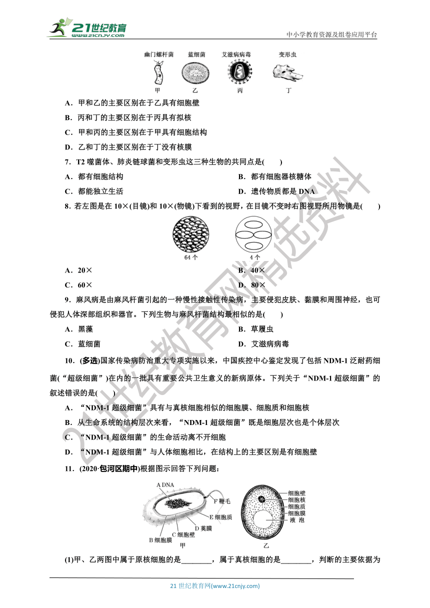 【课后练习】2  细胞的多样性和统一性人教版（2019）生物学 必修1(含答案）