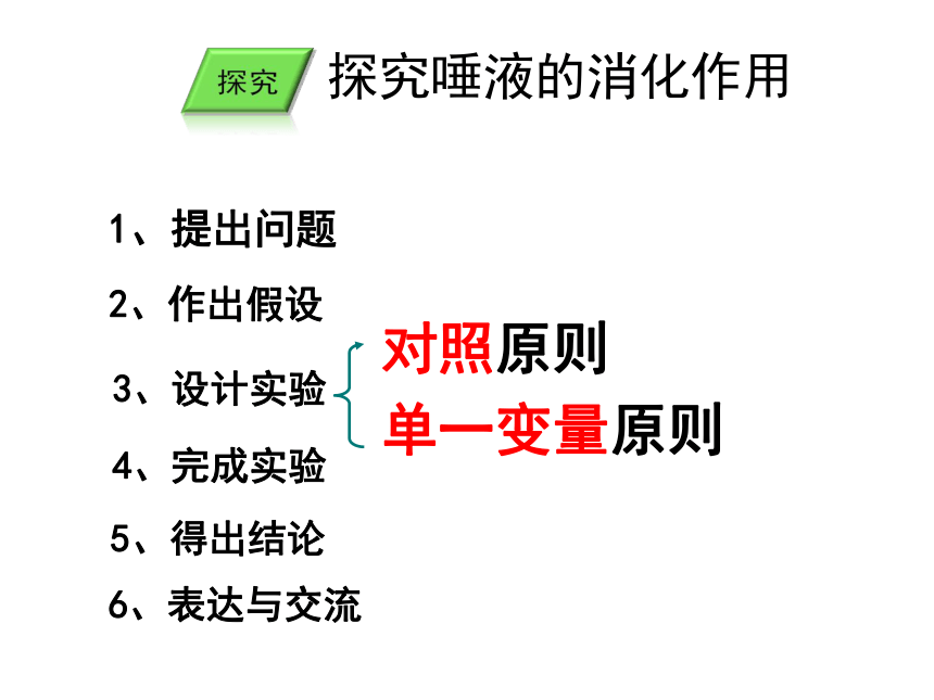 2021--2022学年冀少版七年级生物下册2.1.2食物的消化（一）食物在口腔中的消化课件(共20张PPT)