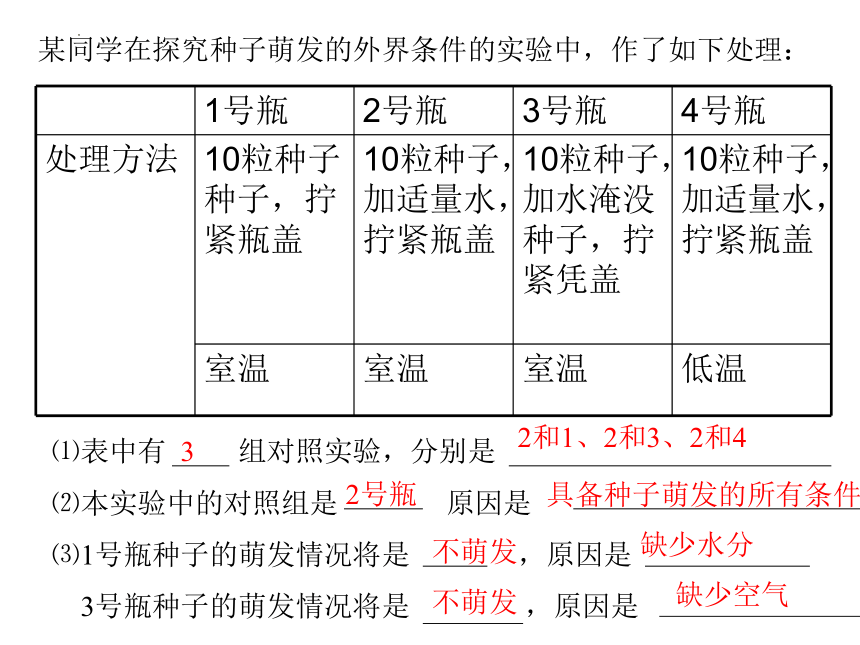 第三单元第二章被子植物的一生复习课件（共39张PPT）2022--2023学年人教版七年级上册生物