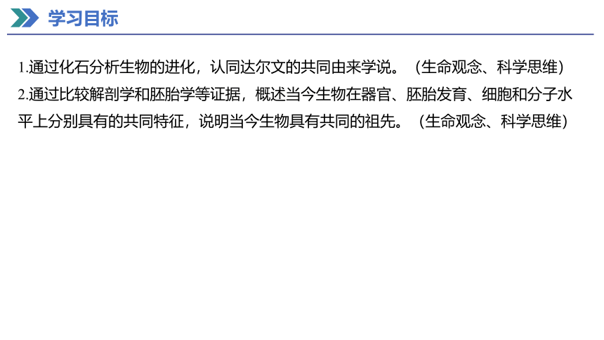 6.1 生物有共同祖先的证据 课件(共27张PPT) 2023-2024学年高一生物人教版（2019）必修第二册