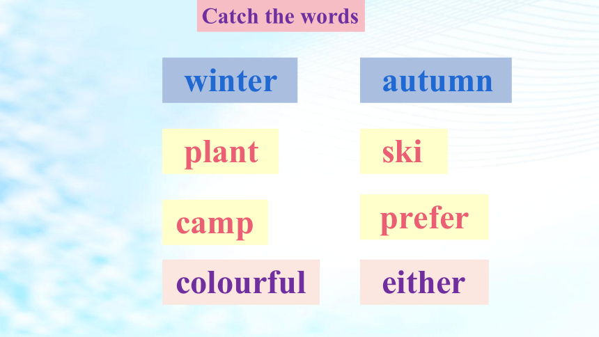 Module 1 Unit 1 What's your favourite season？ Period 3 课件(共20张PPT)