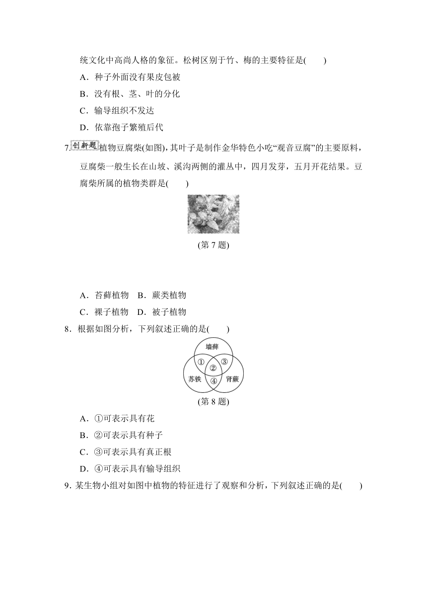 人教版生物七年级上学期第三单元第一、二章学情评估试题（含答案）