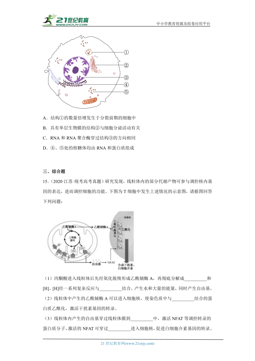 五年2018-2022高考生物真题按知识点分类汇编12-细胞核（含解析）