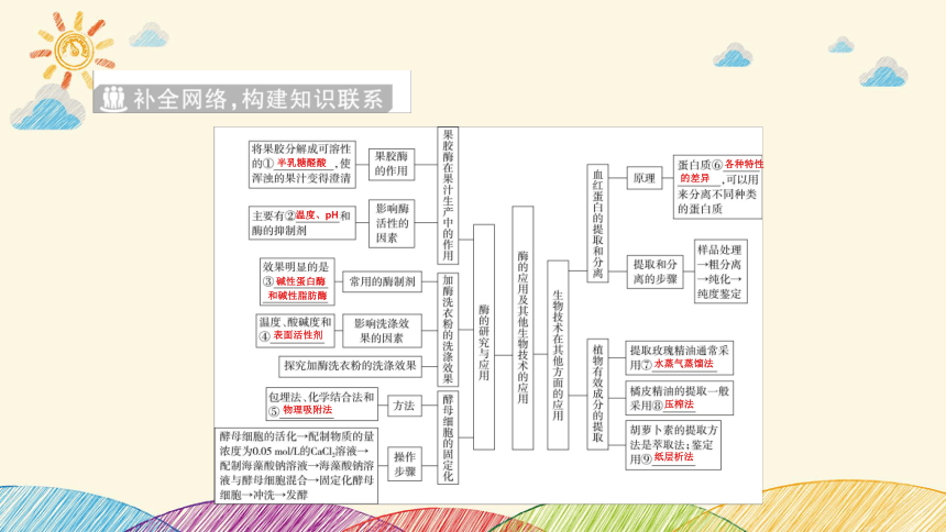 高考生物二轮重点讲练：第16讲　酶的应用、生物技术在食品加工及其他方面的应用(共95张PPT)