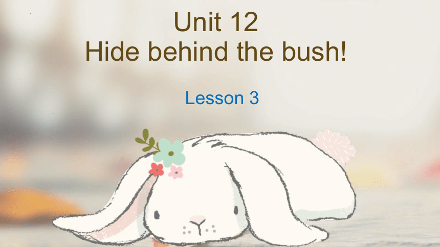 Unit 12 Hide behind the bush! Lesson 3课件(共18张PPT)