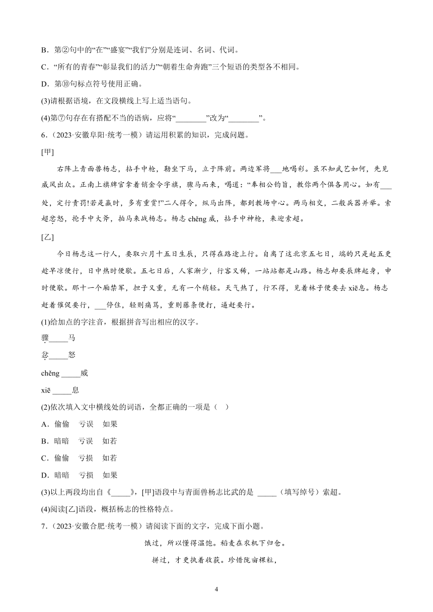 2023年安徽省各地九年级语文中考一轮模拟题分项选编：基础知识综合题（含解析）