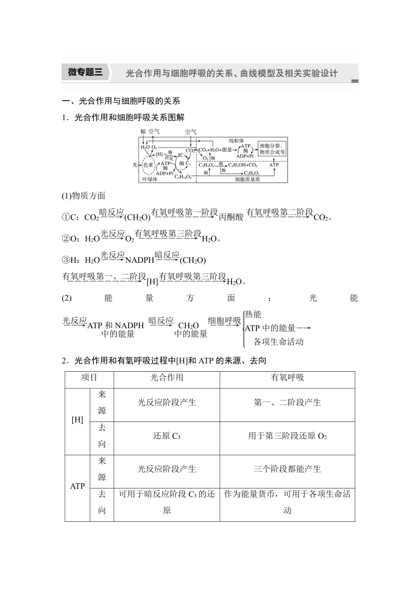 2022-2023学年苏教版（2019）高中生物必修1 第三章 第四节 微专题三 光合作用与细胞呼吸的关系、曲线模型及相关实验设计（学案+跟踪练 word版含解析）