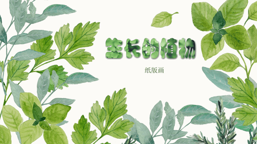 浙美版 四年级下册美术 第7课 生长的植物  课件（38张PPT）