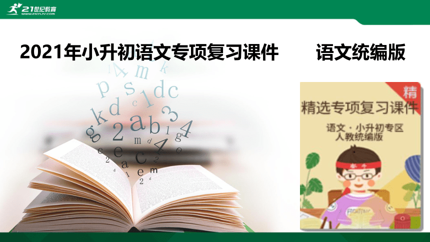 2021年小升初语文专项复习阅读技巧：5感受语言魅力课件（29张PPT)