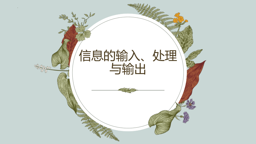 4.4.2　信息的输入、处理与输出　课件(共16张PPT)　2022—2023学年苏科版（2018）初中信息技术八年级全一册