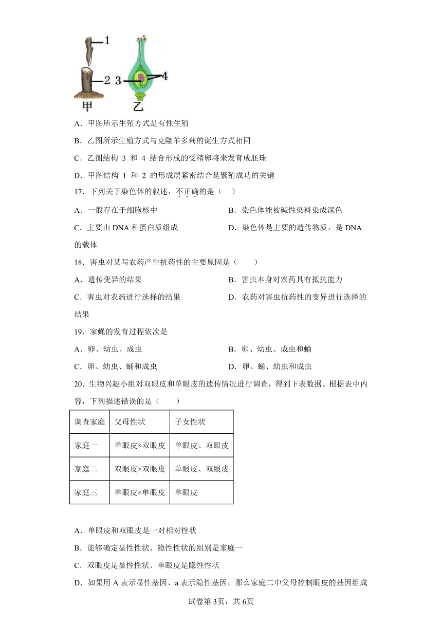 鲁教版生物八年级下册期末检测夯实基础强化训练试题1（含解析）