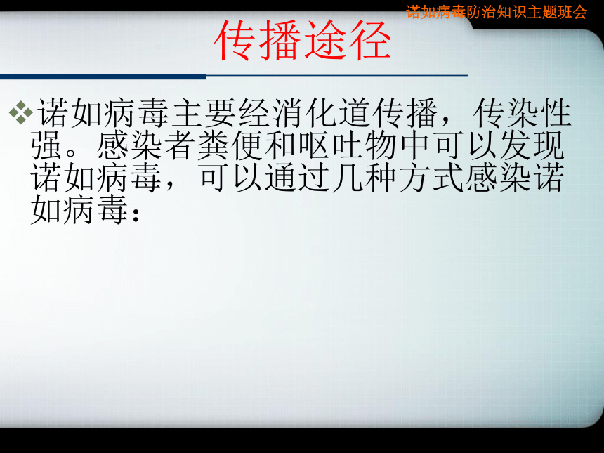 预防诺如病毒主题班会 课件 （26张幻灯片）