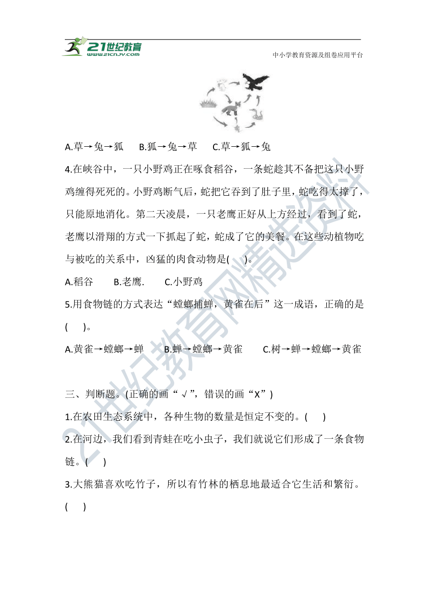 1.2 从吃与被吃说起 同步练习（含答案）