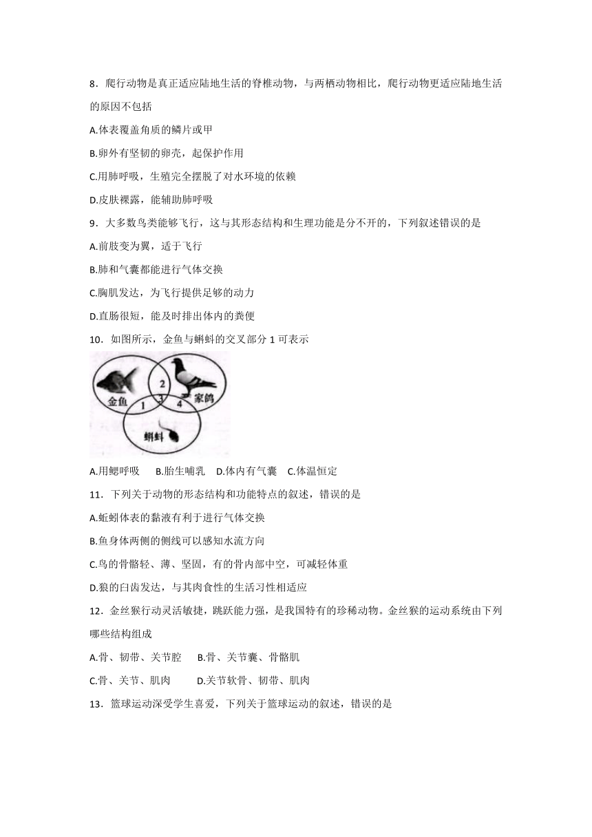 安徽省寿县2022-2023学年八年级上学期教学评价二（期中）·生物学（含答案）