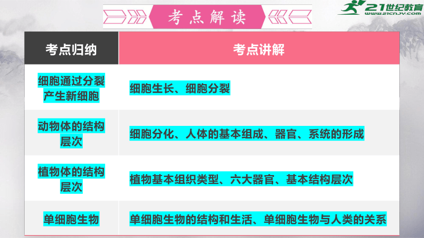 第二单元+第二章+细胞怎样构成生物体-【复习旧知】2022-2023学年七年级生物上册复习课件（人教版）(共68张PPT)