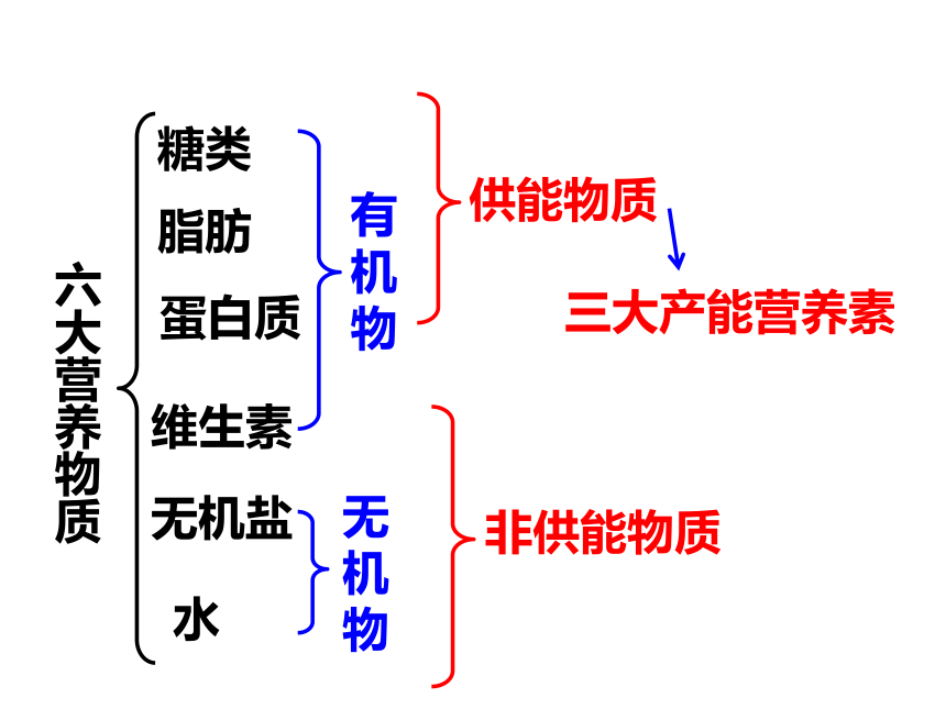 4.8.1 人类的食物课件(共22张PPT)2022-2023学年北师大版生物七年级下册