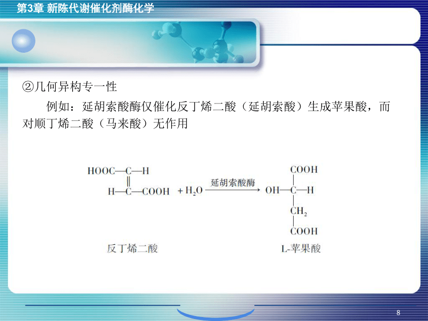 3.1酶的概述 课件(共27张PPT)- 《环境生物化学》同步教学（机工版·2020）