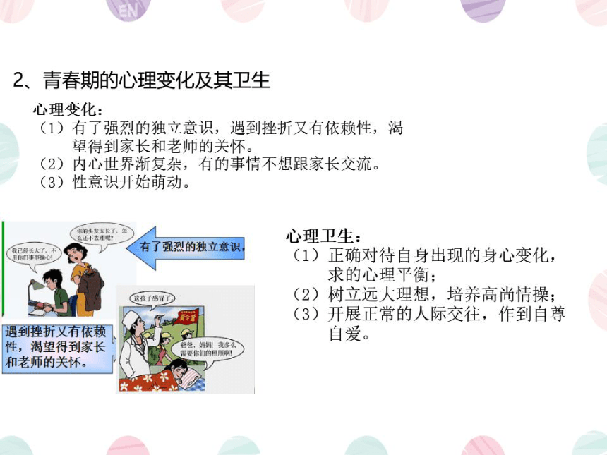 第一、二章复习课件 (共41张PPT)人教版生物七年级下册