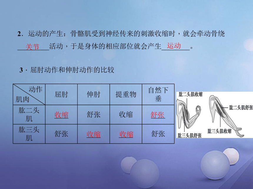 人教版 八上 第五单元 第二章  动物的运动和行为复习 课件（共48张PPT）