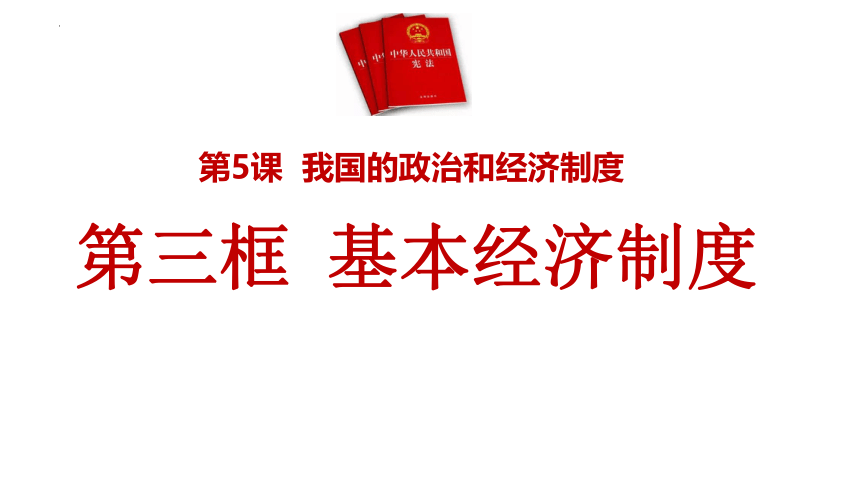 5.3 基本经济制度 课件(共27张PPT)-2023-2024学年统编版道德与法治八年级下册