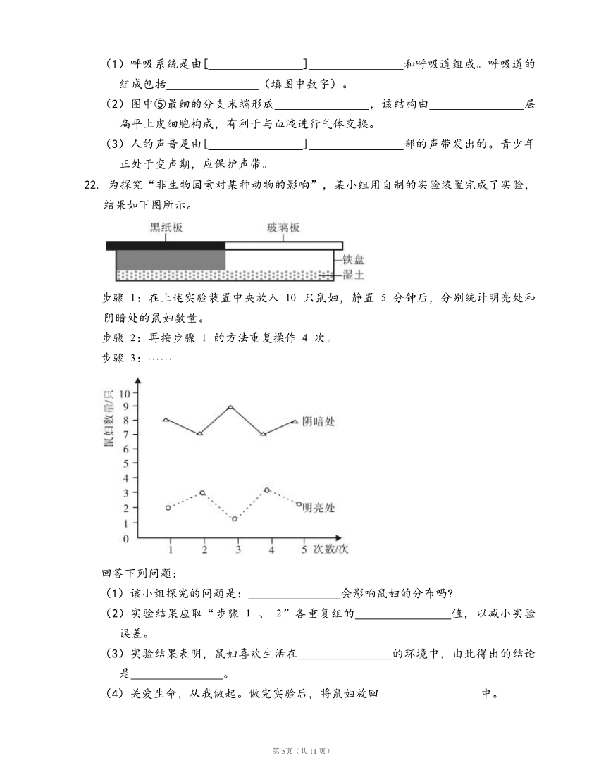 人教版七年级下册生物单元冲刺卷第四单元第三章 人体的呼吸(word版，含答案解析）