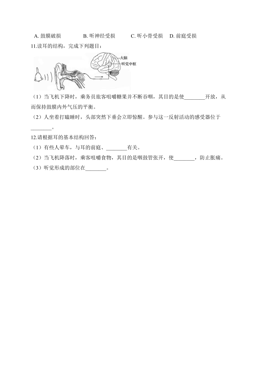 3.2 耳与听觉  学案（含解析）