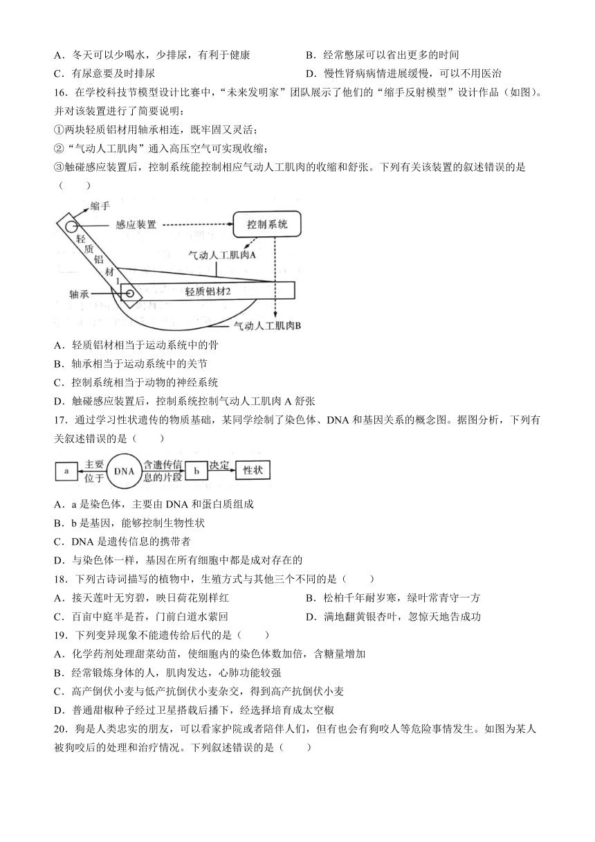 2024年河南省周口市郸城县模拟预测生物试题（含答案）