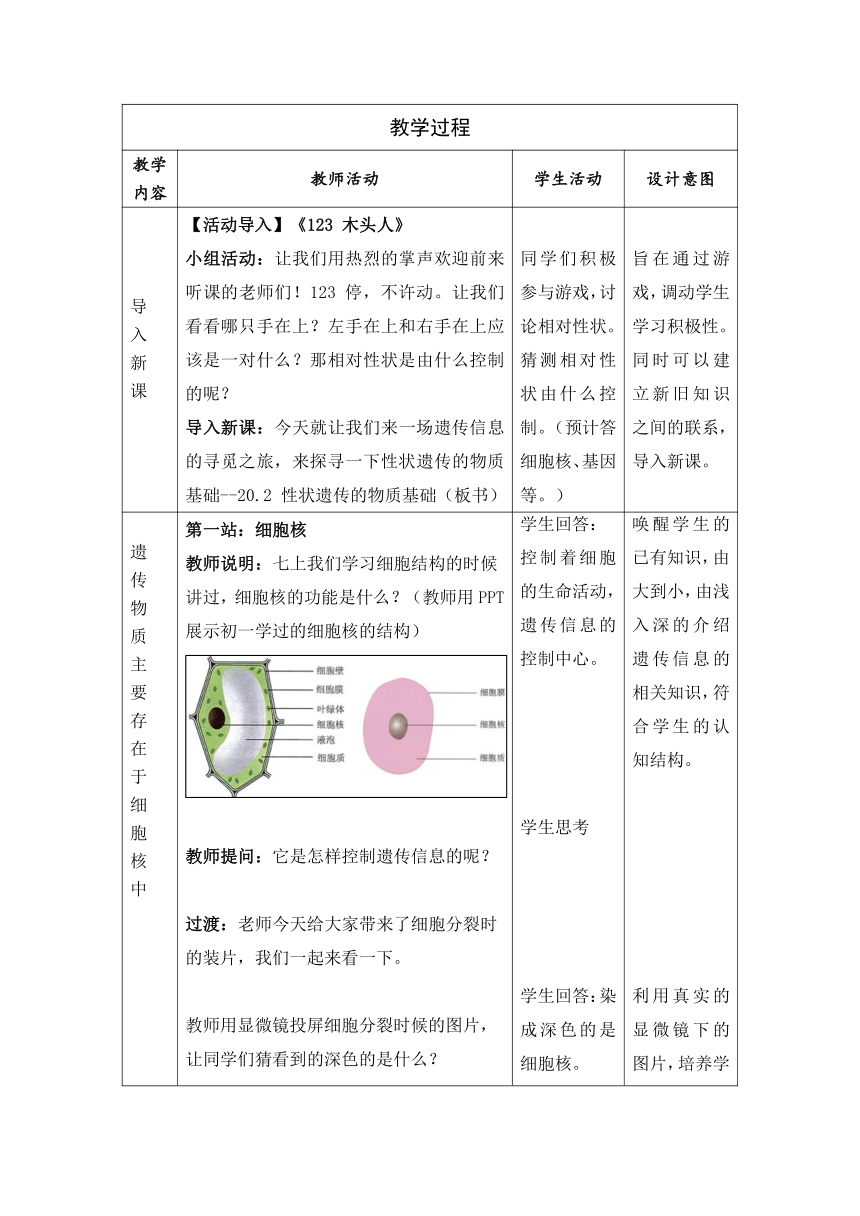 北师大版生物八年级上册 第20章 第2节 性状遗传的物质基础教案