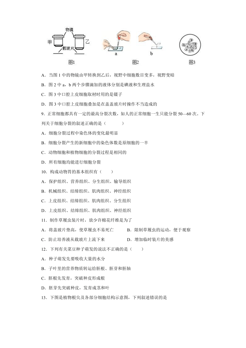 安徽省滁州市定远县朱湾中学2021-2022学年下学期开学考试七年级生物试题（word版含答案）