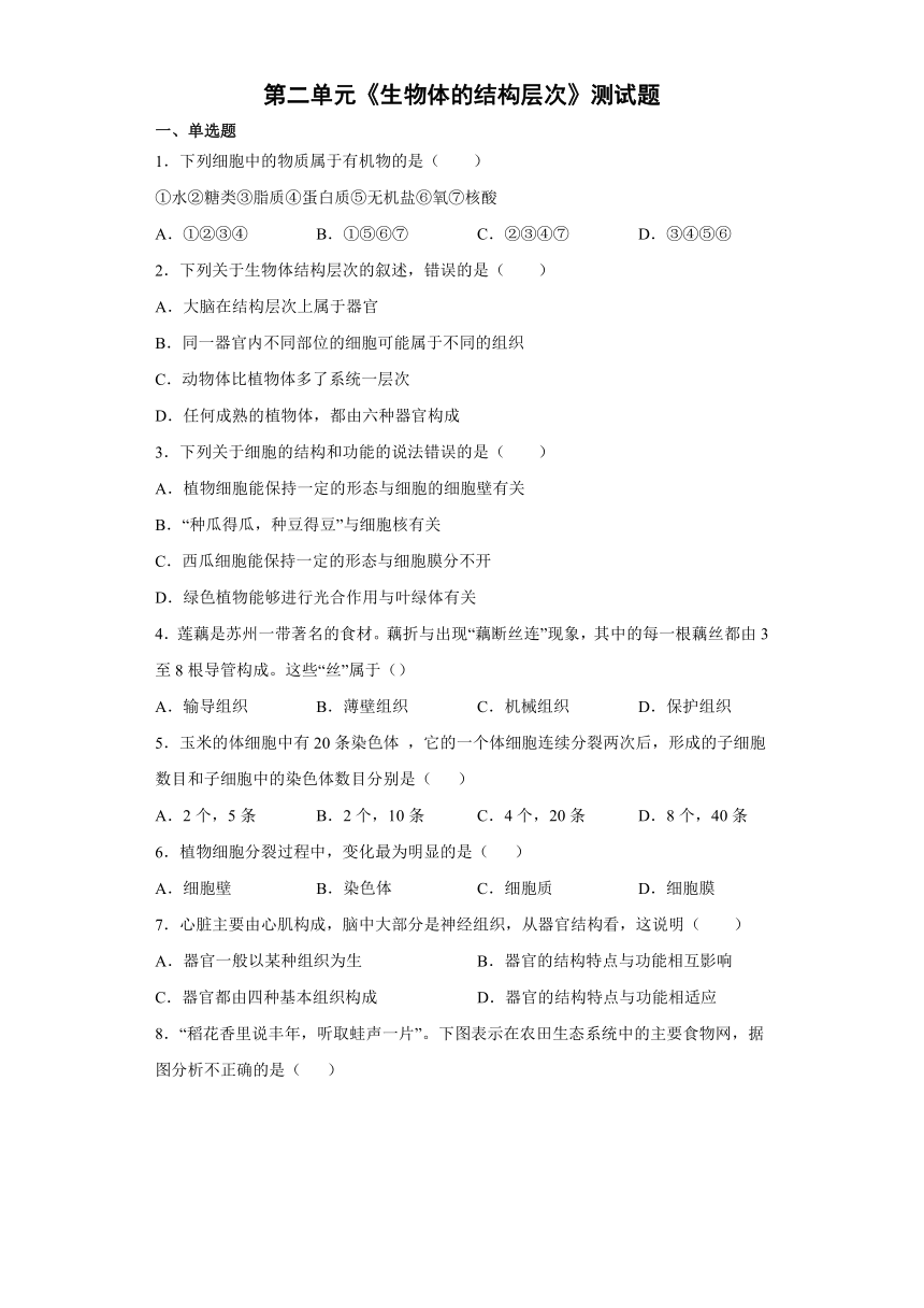 人教版生物七年级上册第二单元  生物体的结构层次  测试题（word版 有答案）