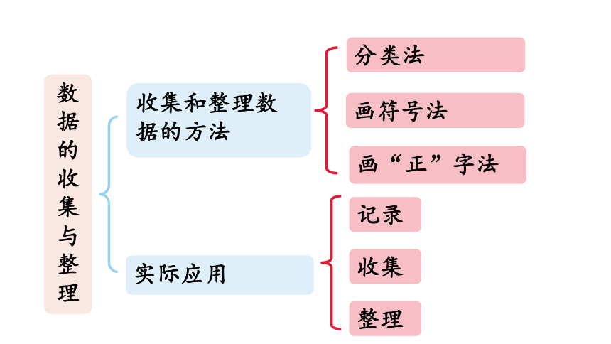 小学数学青岛版（六三制）二年级下九 我是体育小明星——数据的收集与整理（一）回顾整理课件（21张PPT)