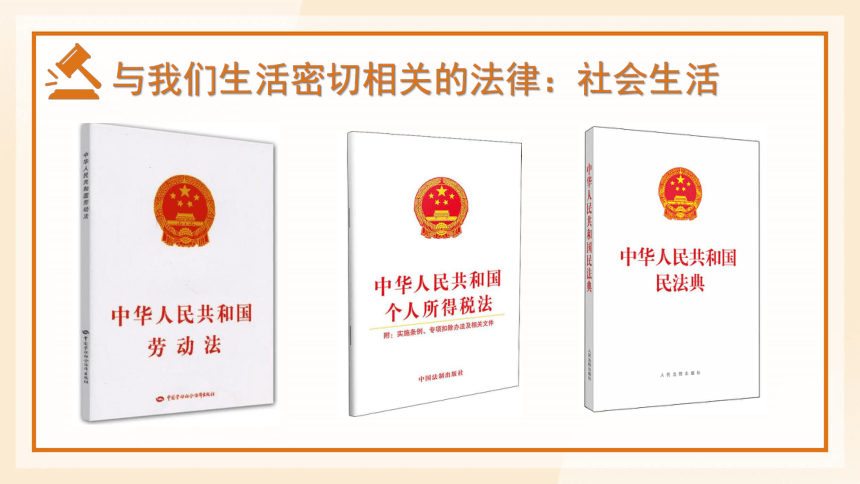 9.1 生活需要法律 课件(共20张PPT)-2023-2024学年统编版道德与法治七年级下册