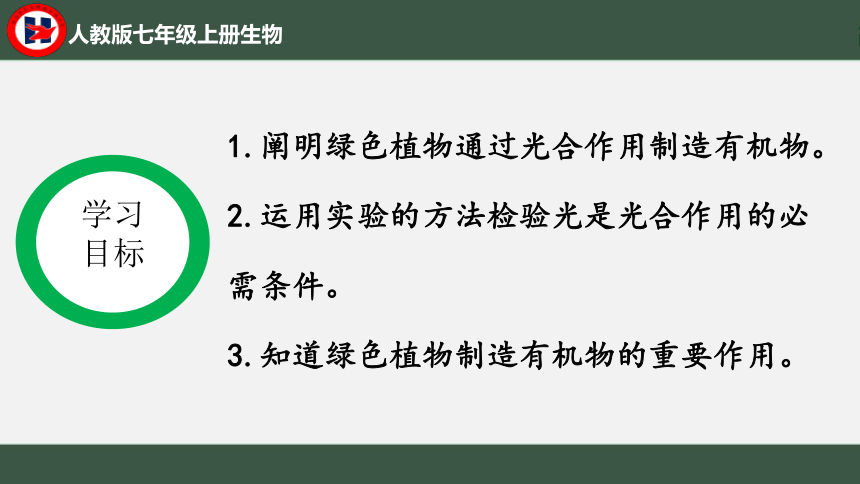 第三单元第四章绿色植物是生物圈中有机物的制造者课件(共36张PPT)2021-2022学年人教版七年级生物上册