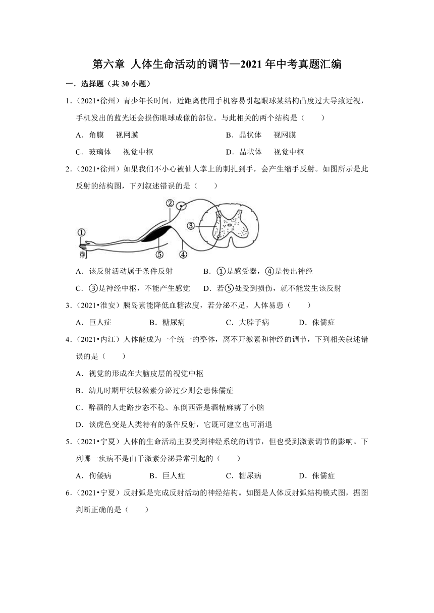 人教版生物七年级下册第四单元 第六章 人体生命活动的调节—2021年中考真题汇编（word版 含答案）