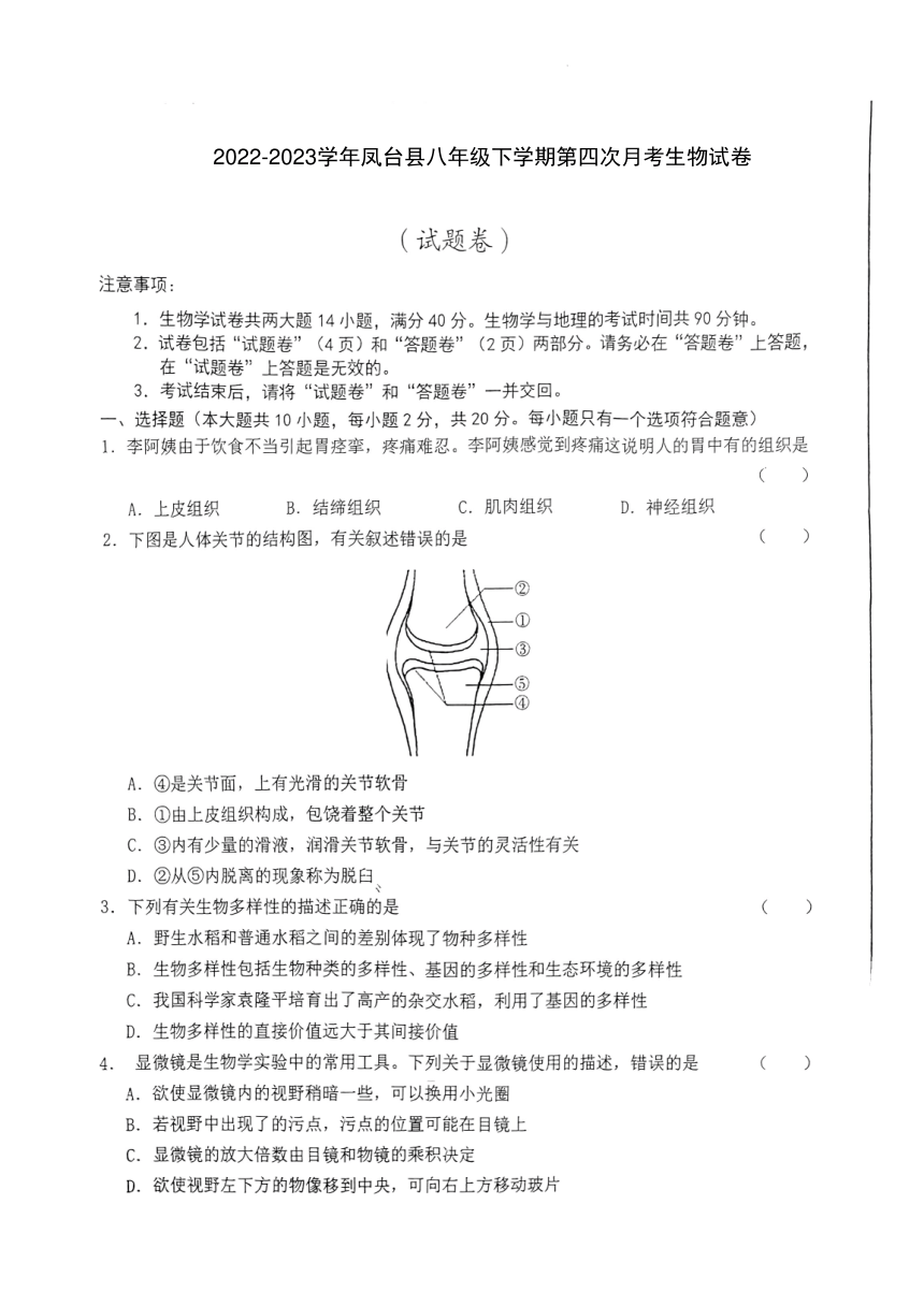 2022-2023学年凤台县八年级下学期第四次月考生物试卷（40分制）（pdf版含解析）