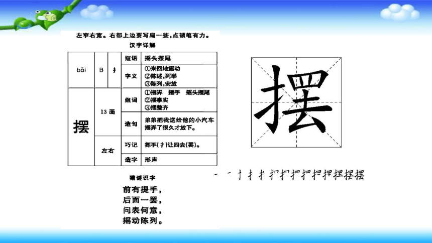 13 画杨桃 （课件）(共25张PPT)