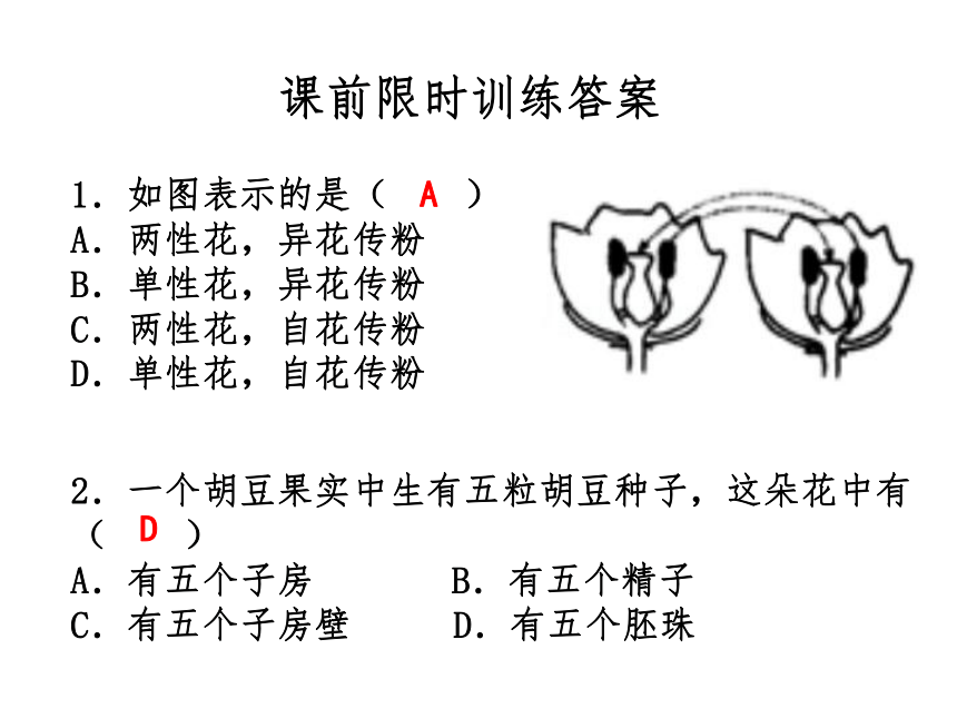 人教版七年级上册3.3  绿色植物与生物圈的水循环课件(共46张PPT)