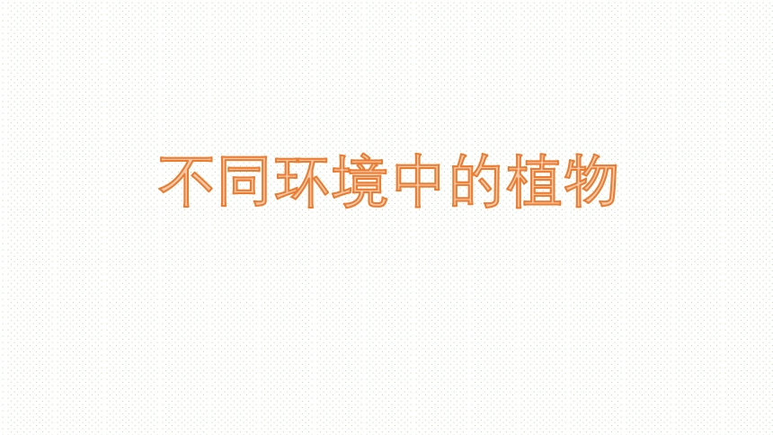 人教鄂教版（2017秋）四年级下册3.10不同环境中的植物（课件17ppt）