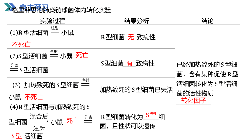 3.1 DNA是主要的遗传物质 课件(共50张PPT) 2023-2024学年高一生物人教版（2019）必修第二册