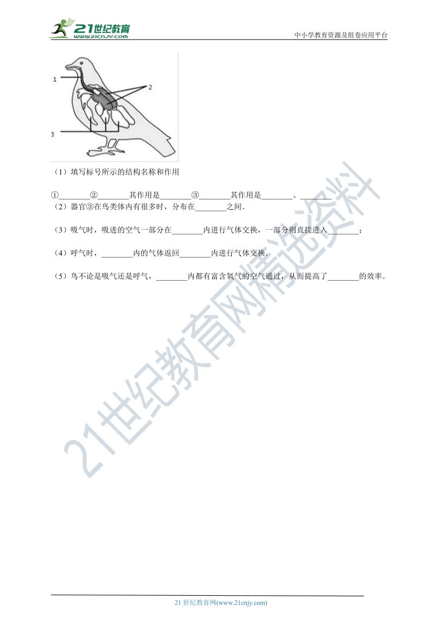 北京版2021初中生物七年级下册6.3其他生物的呼吸（含解析）